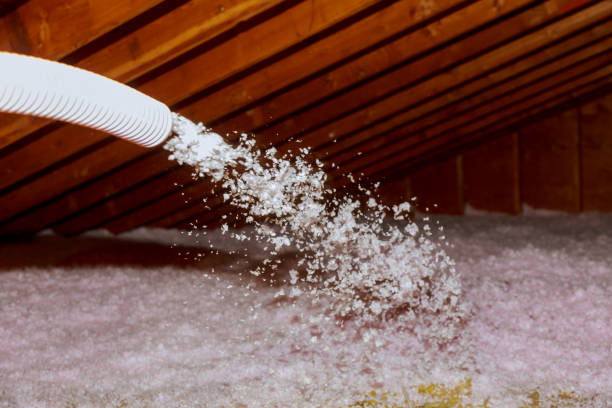 Best Insulation Maintenance and Repair in Uvalde, TX